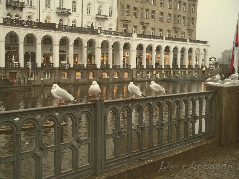 amburgo-Reesendamm727.JPG