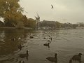 amburgo-Aussenalster831