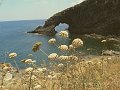 pantelleria124