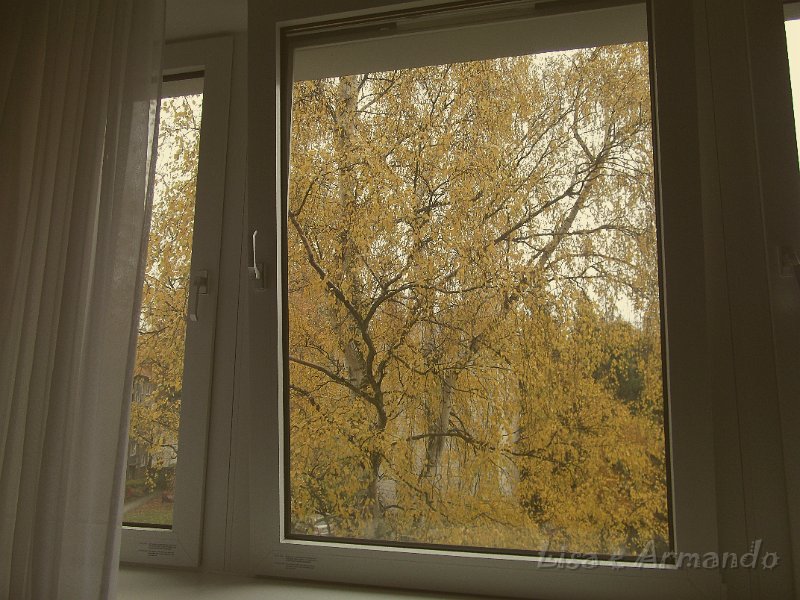 amburgo-window.JPG