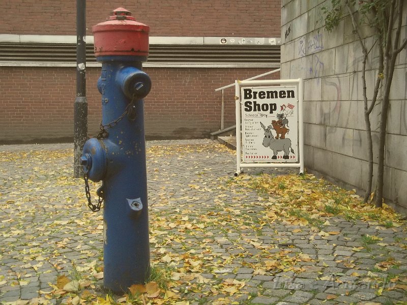 brema158.JPG