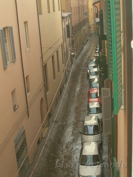 bolognaerea01.jpg
