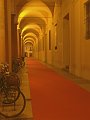 bologna43