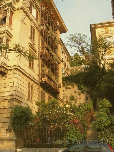 genova27.jpg