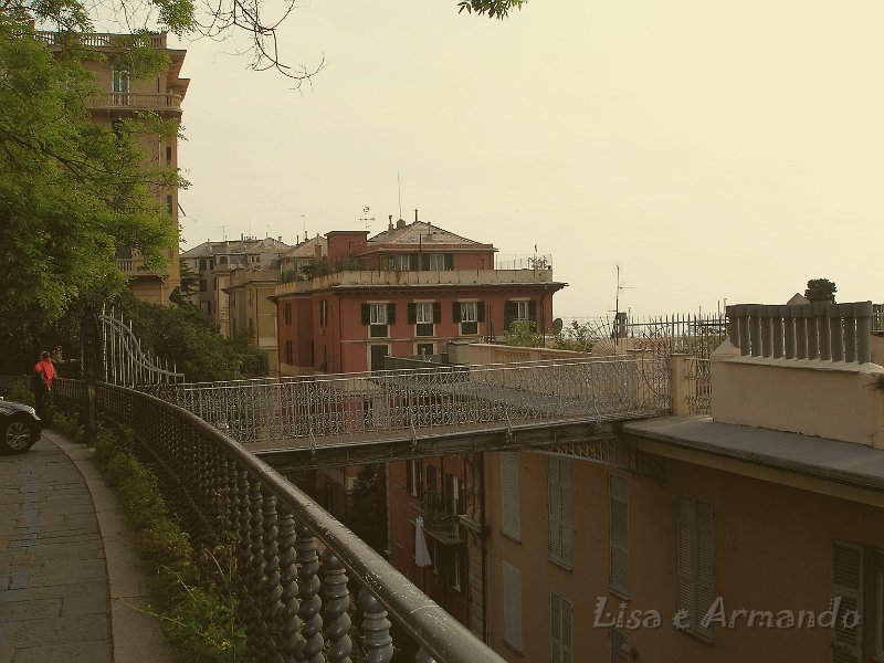 genova28.jpg