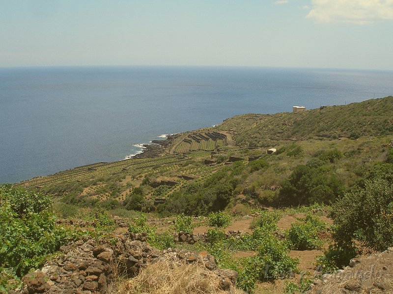 pantelleria122.JPG