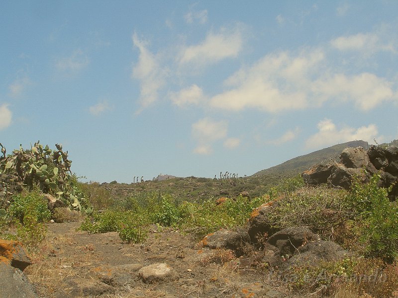 pantelleria158.JPG
