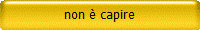 non ÃƒÂ¨ capire
